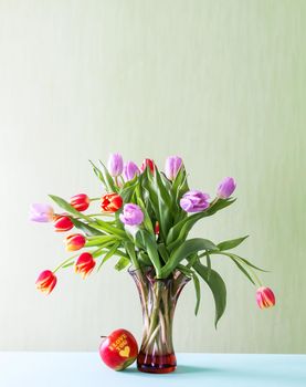 Bouquet of beautiful spring tulip flowers on soft green background.