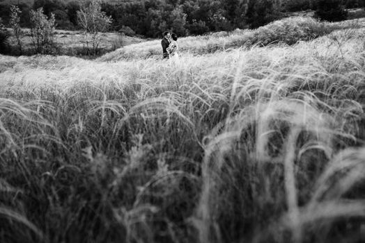 A couple in love a guy and a girl on a walk in the forest belt