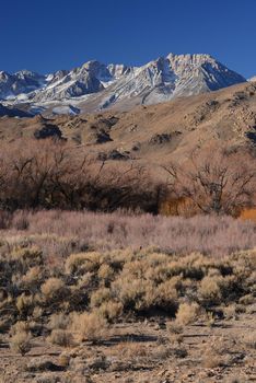 mountain landscape at sierra nevada range with grass hill