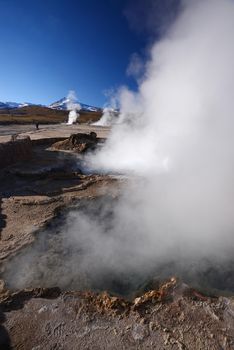 hot vapor plume from El Tatio geyser in northern chile