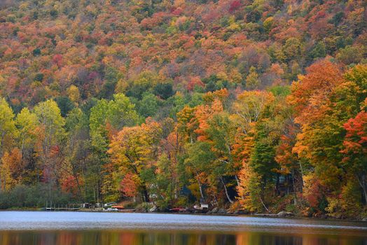 trees in vermont are changing color in autumn