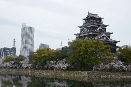 hiroshima castle with cherry blossom