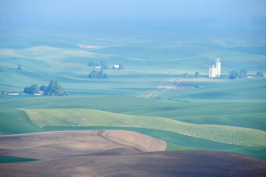 green wheat hills of farming crop area in palouse washington with morning sunlight