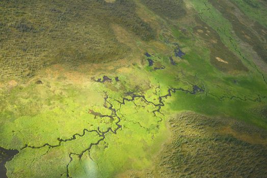 an aerial view of alaska wetland near king salmon