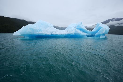 blue iceberg floats in southeast alaska