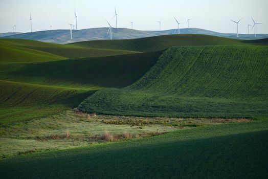 wind mill on green wheat farm hill in palouse, washington