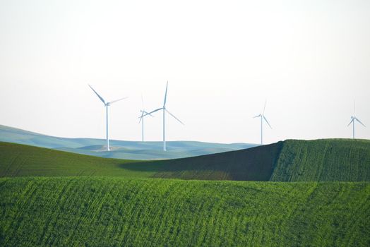 wind mill on green wheat farm hill in palouse, washington