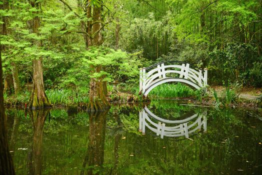 a white bridge in a swamp area in magnolia plantation near charleston