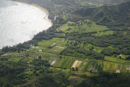 aerial view of mountain in kauai