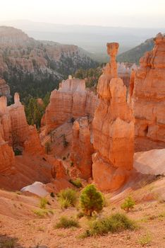 bryce canyon hoodoo at sunrise