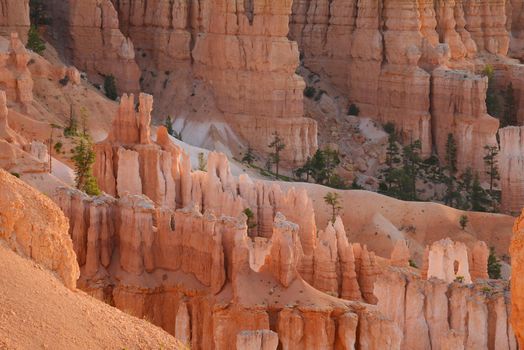 bryce canyon hoodoo at sunrise