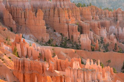 bryce canyon hoodoo at sunrise