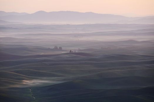 green wheat hills of farming crop area in palouse washington with morning sunlight