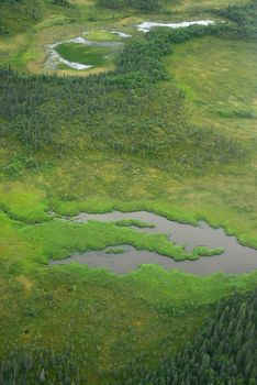 an aerial view of alaska wetland in katmai national park near king salmon