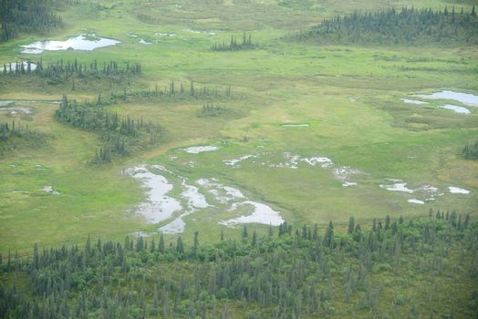 an aerial view of alaska wetland in katmai national park near king salmon