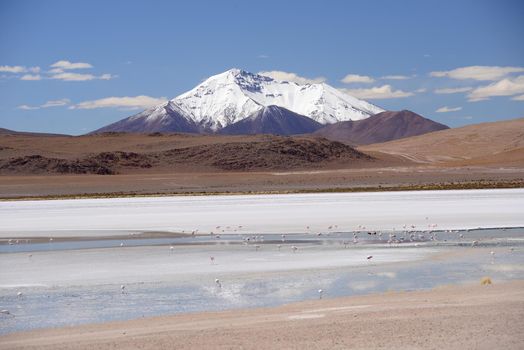 snow cap mountain in high altitude atacama desert in bolivia with lagoon