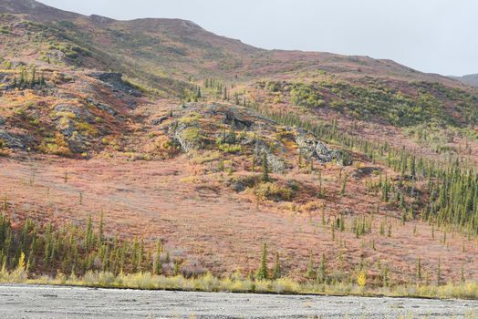 alaskan tundra in autumn