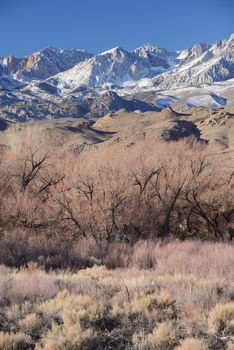 mountain landscape at sierra nevada range with grass hill