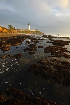 Pigeon Point Lighthouse at sunset