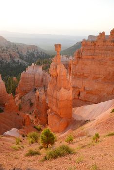 bryce canyon hoodoo at sunrise