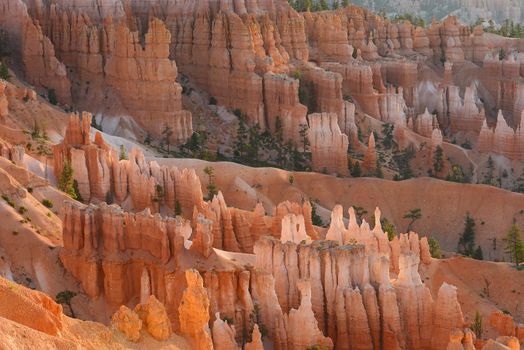 bryce canyon hoodoo at sunrise