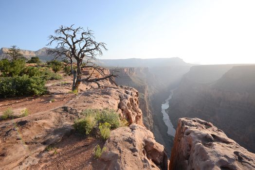 toroweap overlook in arizona