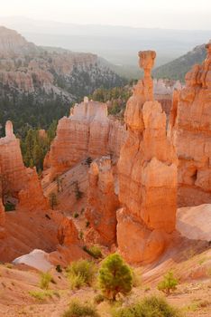 bryce canyon hoodoo at sunrise