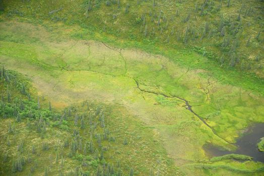 an aerial view of alaska wetland in katmai national park near king salmon