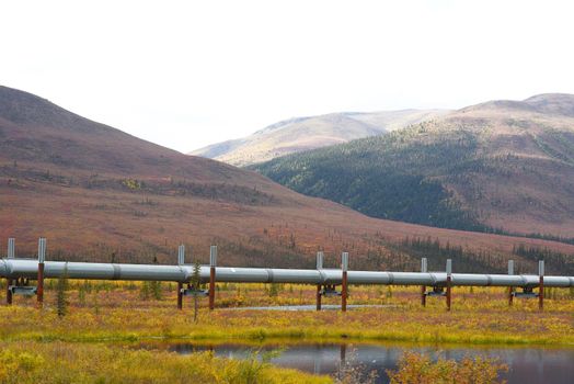 alaskan pipeline with autumn landscape in alaska