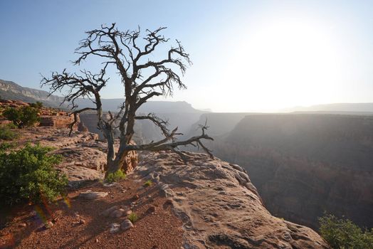 toroweap overlook in arizona