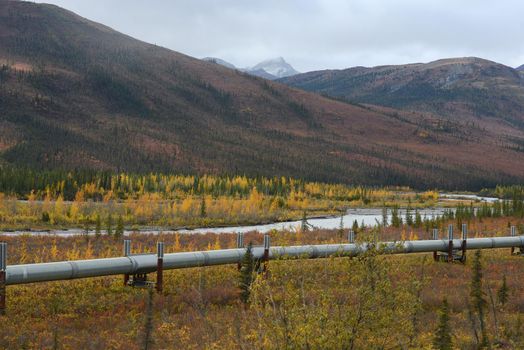 alaskan pipeline with autumn landscape in alaska