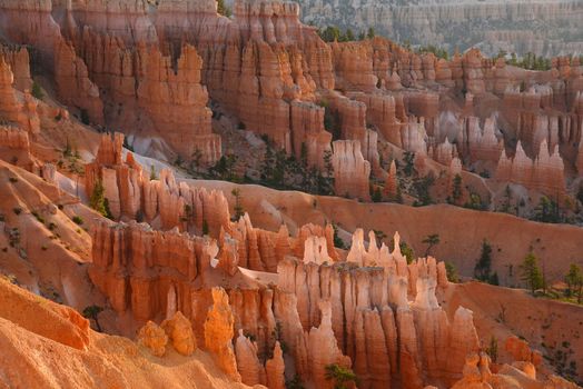 bryce canyon hoodoo at sunrise