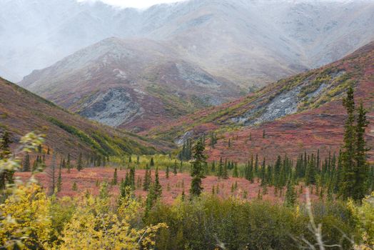 alaskan tundra in autumn