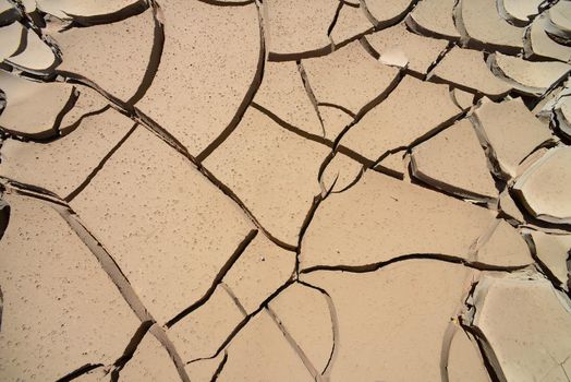 dried mud crack in desert