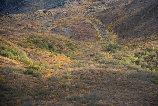 alaskan tundra in autumn