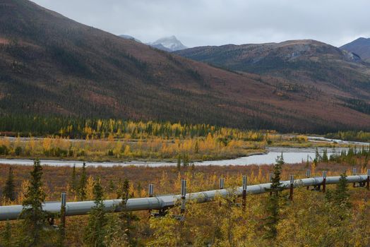 alaskan pipeline with autumn landscape in alaska