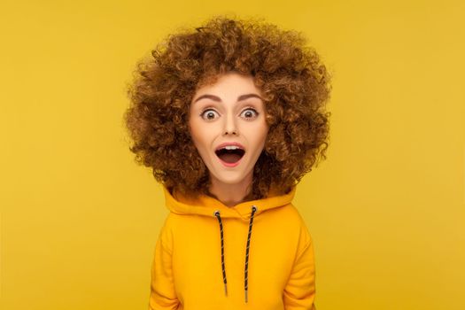 Wow, unbelievable. Comic portrait of shocked surprised funny woman with Afro hairstyle looking at camera with open mouth and amazed big eyes. Indoor studio shot isolated on yellow background.