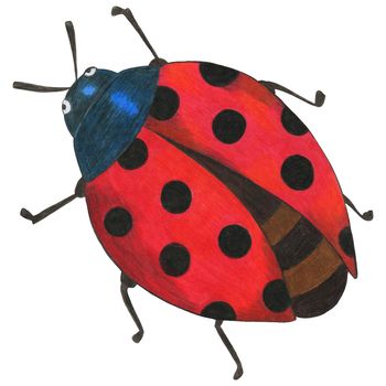 Hand Drawn Colorful Ladybug Isolated on White Background. Ladybug Illustration Drawn by Colored Pencil. Hand Drawn Ladybird Clipart.