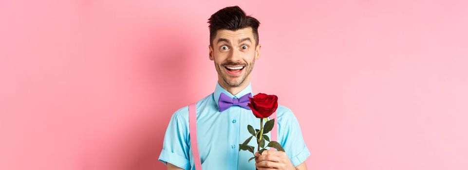 Excited bearded man with moustache and bow-tie waiting for date with red rose, having romantic moment on Valentines day, standing on pink background.