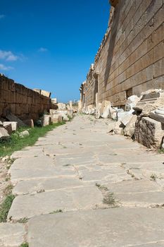 Archaeological site of Leptis Magna, Libya - 10/30/2006:  The Forum of Severe in the ancient Roman city of  Leptis Magna.