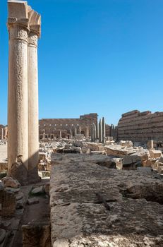 Archaeological site of Leptis Magna, Libya - 10/30/2006:  The Forum of Severe in the ancient Roman city of  Leptis Magna.