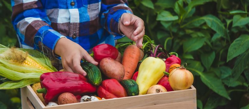 Child and vegetables. Selective focus feram