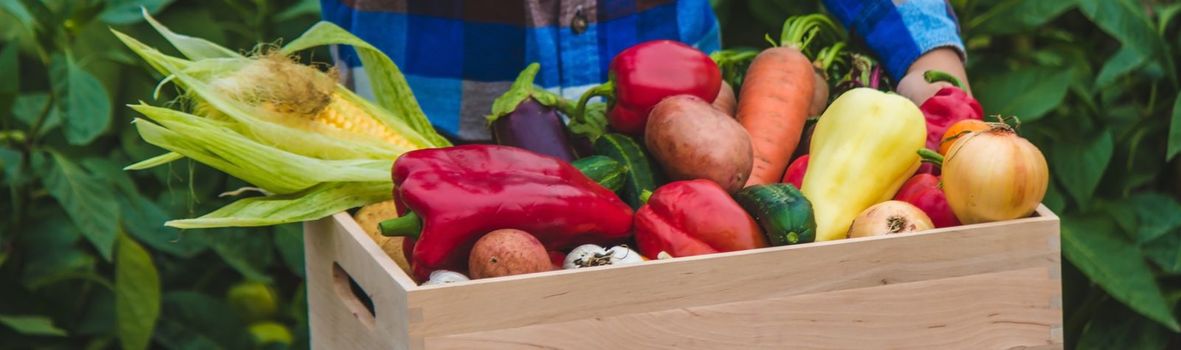 Child and vegetables. Selective focus feram