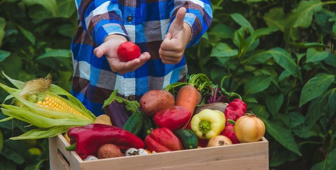 Child and vegetables. Selective focus feram