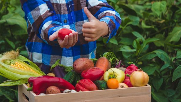 Child and vegetables. Selective focus feram
