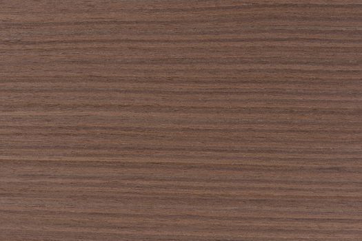 Dark brown walnut wood texture, natural wood pattern for making furniture, parquet or doors. Top view of natural veneer