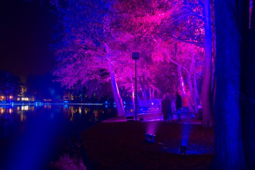 Neon light night show in a park on a city lake in Genk, Belgium, trees illuminated in a mesmerizing blue-purple color are reflected in the water. High quality photo