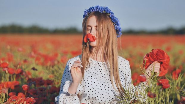 Ukrainian girl collecting and smelling a bouquet of poppies in a field of poppies