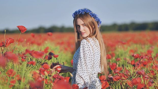 A Russian girl with a blue wreath of cornflowers poses in a field of poppies