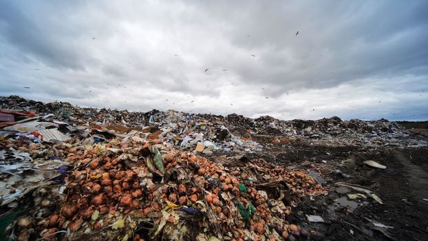 Garbage landfill near a big city